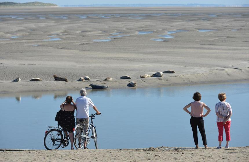 Paddle - Vue Mer - 100M Plage Berck Εξωτερικό φωτογραφία