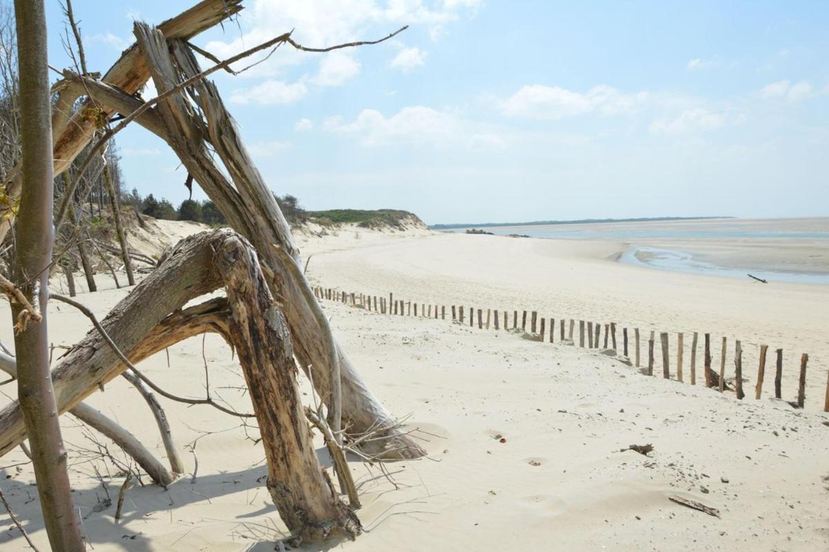 Paddle - Vue Mer - 100M Plage Berck Εξωτερικό φωτογραφία